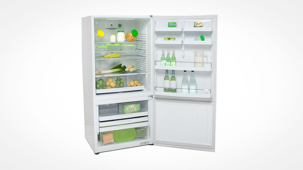 Fisher & Paykel E522BRE4