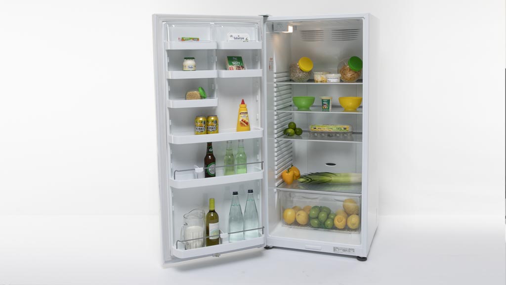 Fisher & Paykel RF373SRDW1