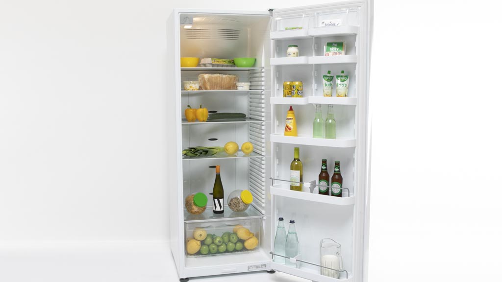 Fisher & Paykel RF450SLDW1